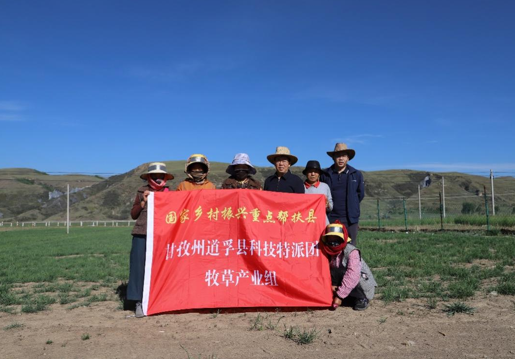 娱乐城推荐
