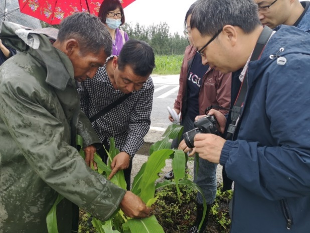 娱乐城推荐