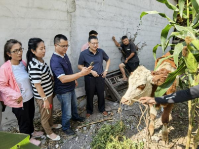 娱乐城推荐