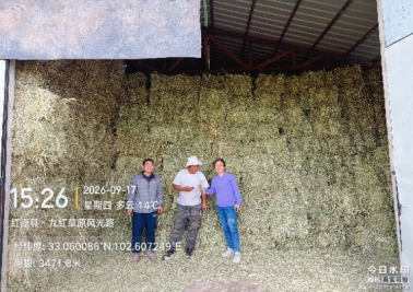 娱乐城推荐