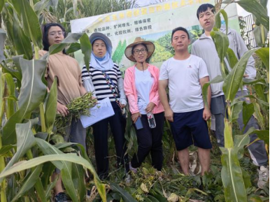 娱乐城推荐