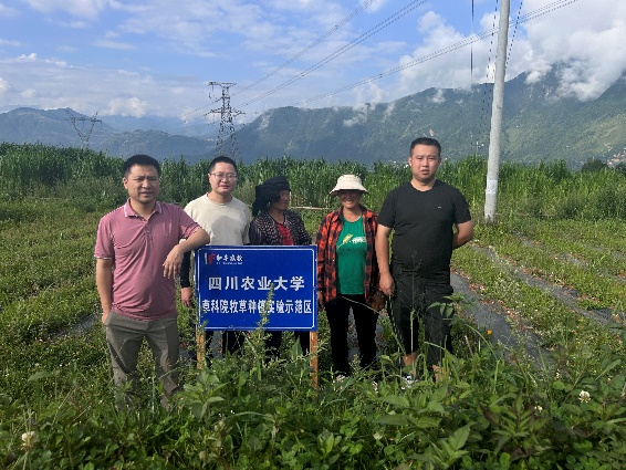 娱乐城推荐